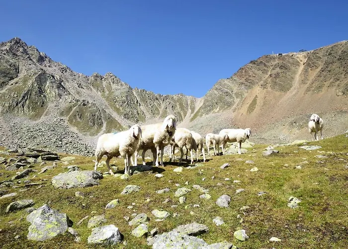 Nadine-7 By Interhome 公寓 *